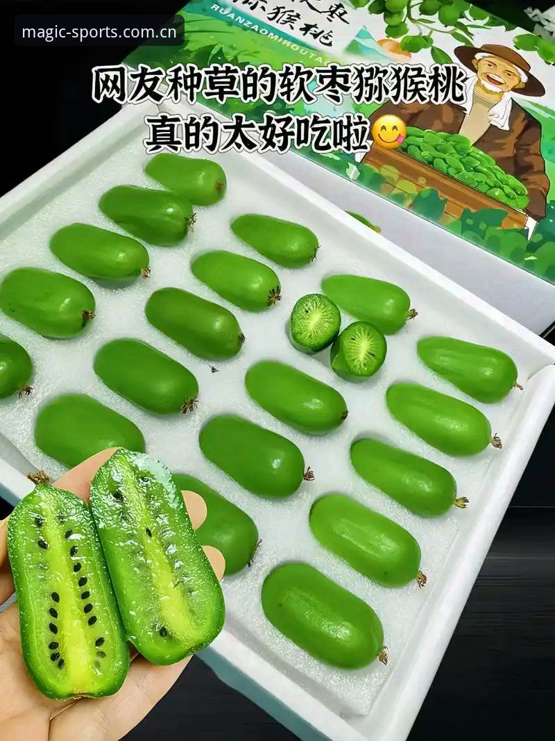 奇异果体育功能必备完整使用指南——从下载到进阶操作全解析